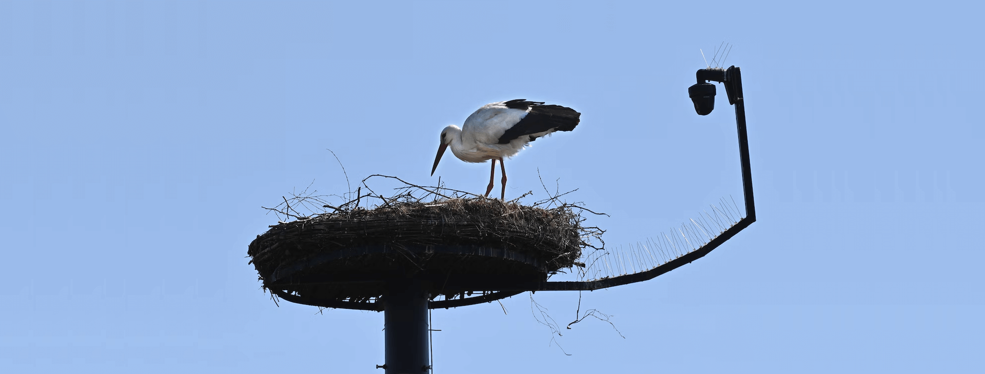 Ooievaarsnest