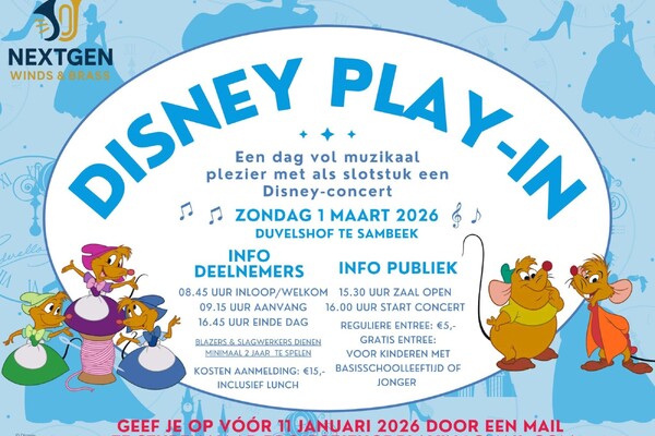 Disney Play-Inn