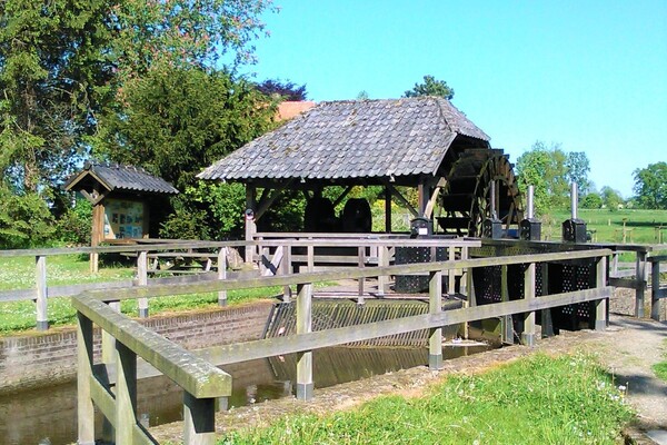 Midweekwandeling Vierlingsbeekse Molenbeek 